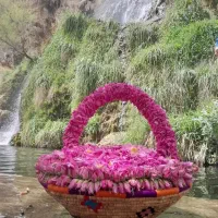 سفر گلاب گیری کاشان ۲۵ اردیبهشت