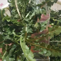 عرقیات خانگی، کاملا طبیعی وبدون هیچ گونه اسانس|خوردنی و آشامیدنی|بروجن, |دیوار
