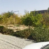 باغچه-فروشی