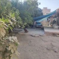 فروش