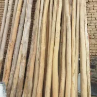 خرید انواع چوب سقف ساختمان و چوب درخت