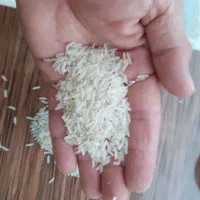 2تن برنج طارم هاشمی محلی|خوردنی و آشامیدنی|رشت, پسیخان|دیوار