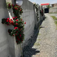 زمین مسکونی ۲۱۴متر مرزیجران