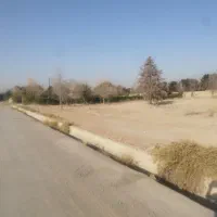 زمین ثناجو موقعیت سرمایه گذاری|فروش زمین و ملک کلنگی|محمدشهر, علی آباد گونه|دیوار