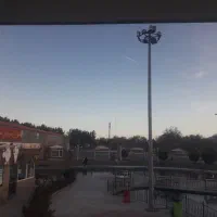 بلدرچین معاوضه با مرغ