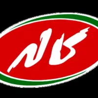 فروشنده حضوری(ویزیتور)