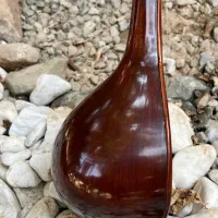 سه تار قدیمی حسین مسعود