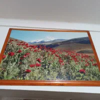 تابلو فقط ۱۱۰ تومن یک سوم قیمت مغازه|تابلو، نقاشی، عکس|شیراز, باغ تخت|دیوار