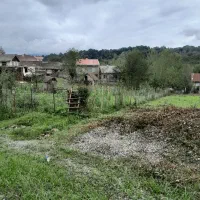 زمین-مسکونی-جنگل-سبز-با-تالاب-طبیعی