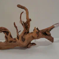 چوب آبنوس آکواریوم