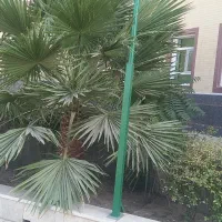 استخدام کارگر ساده