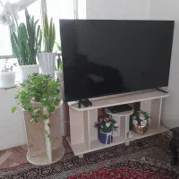 تلویزیون ۵۵