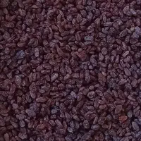 کشمش افتاب خشک