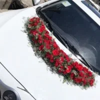 خدمات مجالس عروسی و نامزدی وترحیم وتولد|خدمات پذیرایی، مراسم|تهران, شمیراننو|دیوار