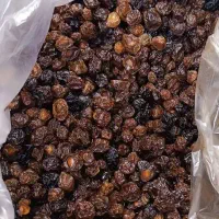 آلوچه جیر آلچا