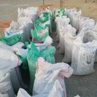 گندم سیروان بوجاری شده