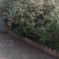 اجاره روزانه/هفتگی/ماهانه آپارتمان ۷۰ متری