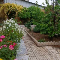 پرستار جهت نگهداری سالمند