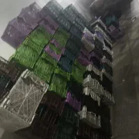 سبد پلاستیکی موزی و کارتن ضایعات