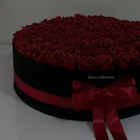 گل رز روبانی