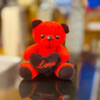 عروسک خرس ولنتاین عمده ولنتایین|عمده‌فروشی|شیراز, سیاه سنگ|دیوار