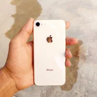 آیفون 8 گلد تمیز|موبایل|یزد, |دیوار