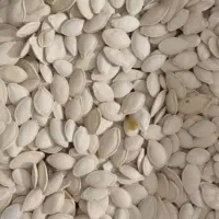 حبوبات|عمده‌فروشی|ماهدشت, |دیوار