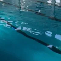 آموزش شناوشیرجه