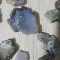 عقیق،یمن،شجر،