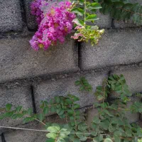 ۸۰متری۱خواب جویبار شیب آبندان