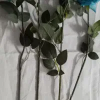 گل آبی|گل مصنوعی|مشهد, موسوی قوچانی|دیوار