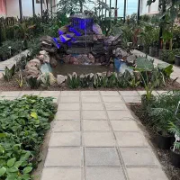 نیروی کار برای گلفروشی