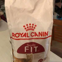 رویال کنین و بابین غذا گربه