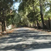 ۵۰۰ متر زمین ،موقعیت استثنایی، سهیلیه|فروش زمین و ملک کلنگی|هشتگرد, کوی یاران|دیوار