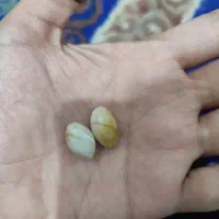 مهره
