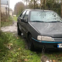 پژو ۴۰۵ بی ضربه مدل ۸۴|خودرو سواری و وانت|رشت, دیلمان|دیوار