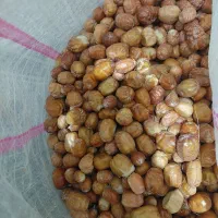 سنجد و گردو فسنجونی،کشمش آفتابی