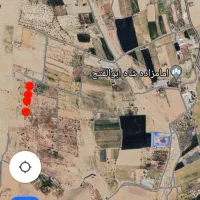 زمین باغی|فروش دفتر صنعتی، کشاورزی، تجاری|فسا, |دیوار