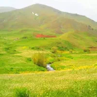 سیم کارت همراه اول کد یک