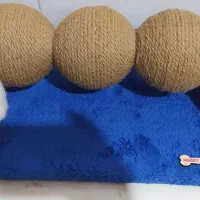 اسکرچر گربه