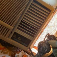 کلر ۱۸هزار جنرال سالم سالم رودان