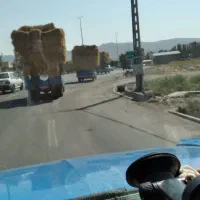 علف باغ وبرنج
