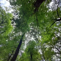 ویلا از ۲۲۵۰ کلنگی قیمت واقعی مدارک درست به بالا