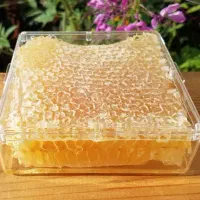 تعدادی عسل تخته آیی