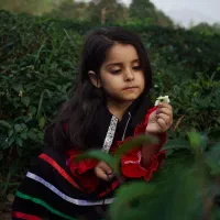 عکاس هستم‌