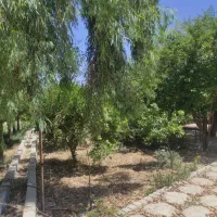فروش-قطعه-1000متری-باغ