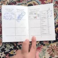 پامرانین روباهی|سگ|زرند, |دیوار