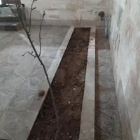 خانه ویلایی نوساز شهرک مدرس|فروش خانه و ویلا|شال, |دیوار