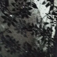 چادر مجلسی شیک|لباس|یاسوج, |دیوار