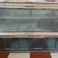 یخچال ویترینی قدیمی